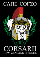 Cane Corso Corsarii Ltd